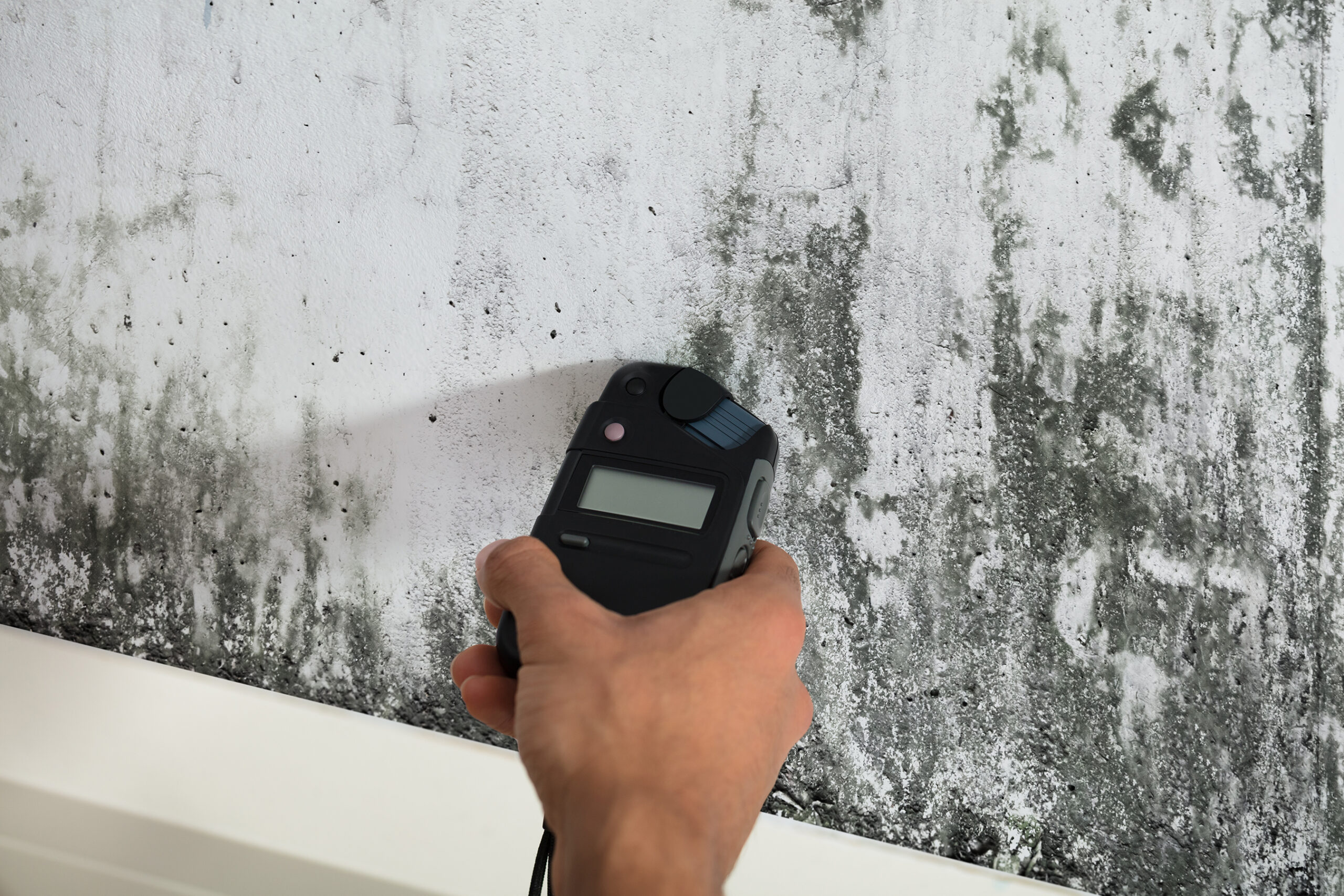 Person Measuring Wetness Of Moldy Wall